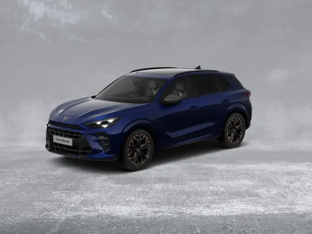 Cupra Terramar view 2