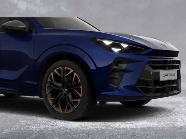 Cupra Terramar view 4