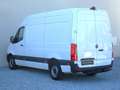 Mercedes-Benz Sprinter PRO 317 CDI +AHK+RFK+SHZ+MBUX+Klima Weiß - thumbnail 8