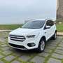 Ford Kuga 2.0 TDCI 150 CV S&S 2WD Titanium Blanc - thumbnail 2
