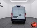 Fiat Ducato 35 MAXI 2.3 MJT 140CV (PM-TM L2H2)CRUISE-NAVI-E6D- Weiß - thumbnail 6