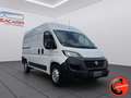 Fiat Ducato 35 MAXI 2.3 MJT 140CV (PM-TM L2H2)CRUISE-NAVI-E6D- Weiß - thumbnail 4