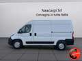 Fiat Ducato 35 MAXI 2.3 MJT 140CV (PM-TM L2H2)CRUISE-NAVI-E6D- Weiß - thumbnail 2