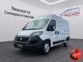 Fiat Ducato 35 MAXI 2.3 MJT 140CV (PM-TM L2H2)CRUISE-NAVI-E6D- Weiß - thumbnail 1