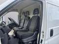 Fiat Ducato 35 MAXI 2.3 MJT 140CV (PM-TM L2H2)CRUISE-NAVI-E6D- Weiß - thumbnail 11