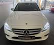 Mercedes-Benz C 300 T d 4Matic AHK*RFK*Business Plus*Isofix*Park-Paket Weiß - thumbnail 8