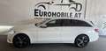 Mercedes-Benz C 300 T d 4Matic AHK*RFK*Business Plus*Isofix*Park-Paket Weiß - thumbnail 2