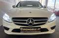 Mercedes-Benz C 300 T d 4Matic AHK*RFK*Business Plus*Isofix*Park-Paket Weiß - thumbnail 9