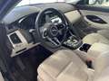 Jaguar E-Pace (X540) 2.0D I4 163 CV AWD Auto SE Albastru - thumbnail 3