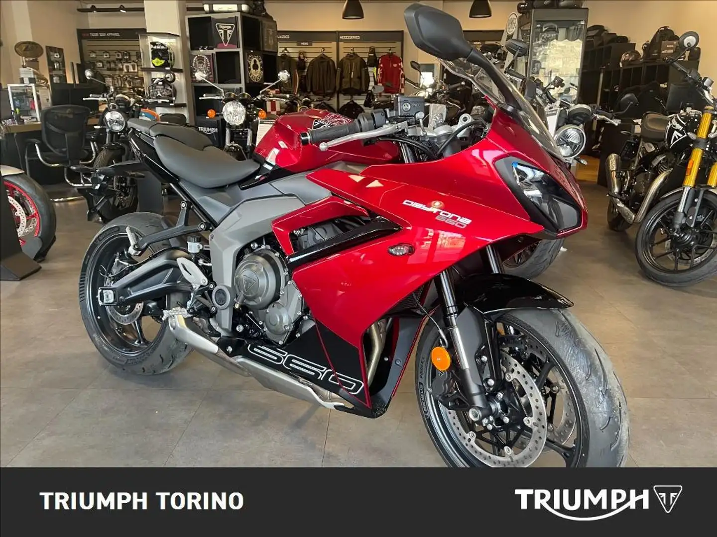 Triumph Daytona 600 Abs Gris - 1