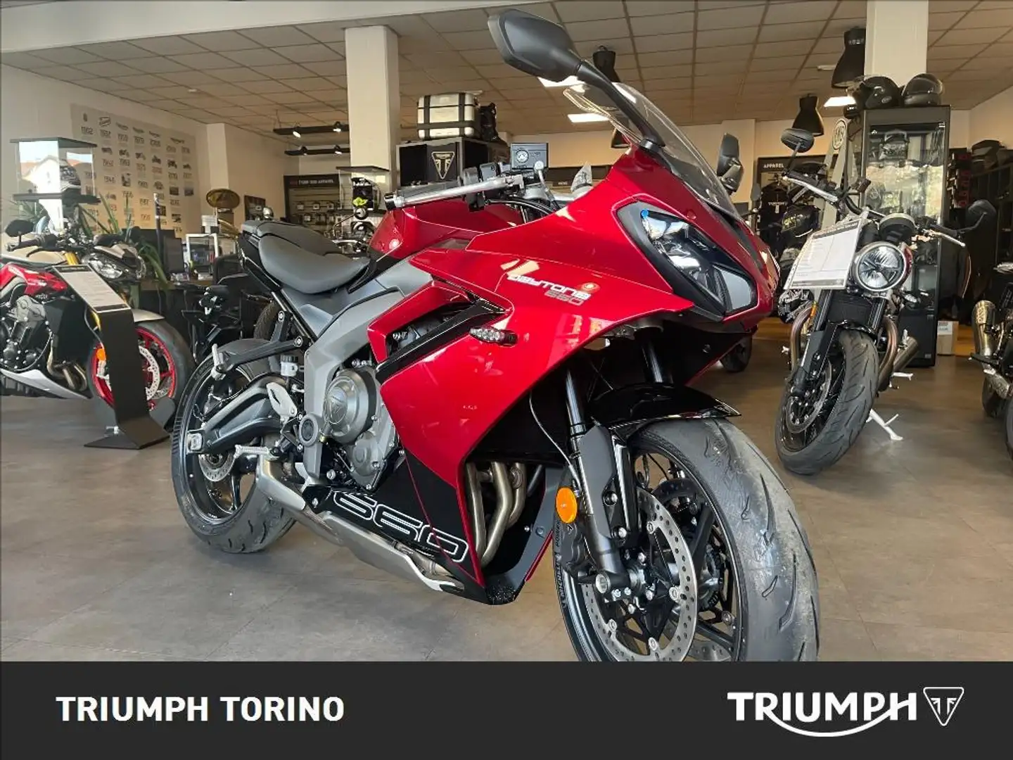 Triumph Daytona 600 Abs Gris - 2