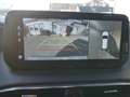 Hyundai SANTA FE 2.2 CRDI Prime 4WD Leder Navi Head-up Argent - thumbnail 14