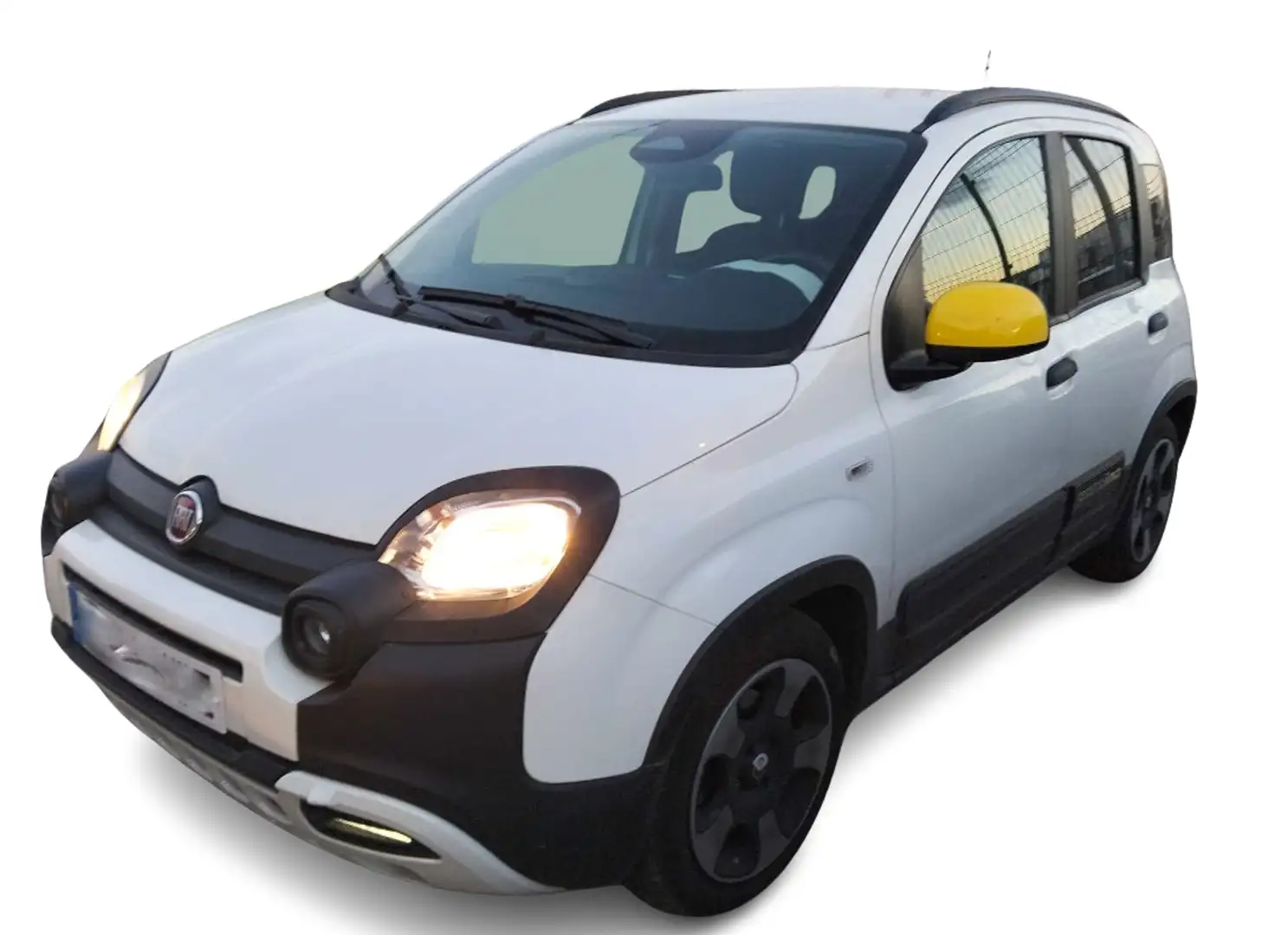 Fiat Panda 1.0 HYBRID 70CV CROSS Bianco - 2