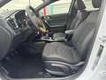 Kia Ceed SW / cee'd SW Ceed SW 1.0 T Nightline Edition Blanc - thumbnail 6