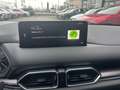 Mazda CX-5 CX-5 2.2 Homura Plus Pack awd 184cv auto Rood - thumbnail 17