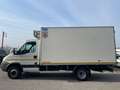 Iveco Daily 60C15 3.0 HPT - 150CV - FRIGO 07/2024 - PERFETTO! bijela - thumbnail 7