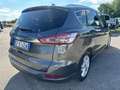 Ford S-Max N1 AUTOCARRO 2.0 ecoblue Titanium Business GF614EW Argento - thumbnail 9