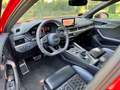 Audi RS4 Avant 2.9 TFSI quattro LED Navi Leder Rot - thumbnail 9