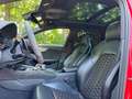 Audi RS4 Avant 2.9 TFSI quattro LED Navi Leder Rot - thumbnail 11
