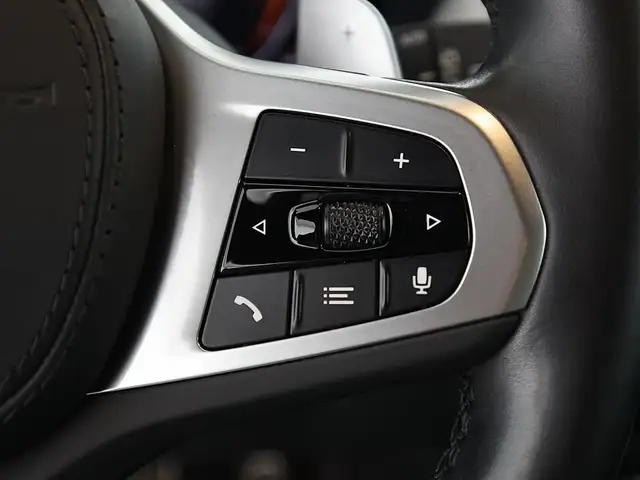 BMW X3 xDrive30d M-Sport Aut LED STANDHZG LEDER H/K Ansicht 21