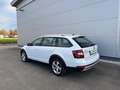 Skoda Octavia Scout 2,0 TDI 4x4 DSG *AHK*GARANTIE*ACC*NAVI*APP* Weiß - thumbnail 4