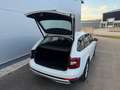 Skoda Octavia Scout 2,0 TDI 4x4 DSG *AHK*GARANTIE*ACC*NAVI*APP* Weiß - thumbnail 25