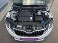 Skoda Octavia Scout 2,0 TDI 4x4 DSG *AHK*GARANTIE*ACC*NAVI*APP* Weiß - thumbnail 7
