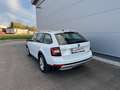 Skoda Octavia Scout 2,0 TDI 4x4 DSG *AHK*GARANTIE*ACC*NAVI*APP* Weiß - thumbnail 5