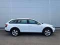 Skoda Octavia Scout 2,0 TDI 4x4 DSG *AHK*GARANTIE*ACC*NAVI*APP* Weiß - thumbnail 16