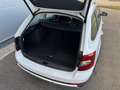 Skoda Octavia Scout 2,0 TDI 4x4 DSG *AHK*GARANTIE*ACC*NAVI*APP* Weiß - thumbnail 26
