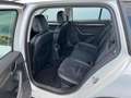 Skoda Octavia Scout 2,0 TDI 4x4 DSG *AHK*GARANTIE*ACC*NAVI*APP* Weiß - thumbnail 12