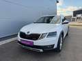 Skoda Octavia Scout 2,0 TDI 4x4 DSG *AHK*GARANTIE*ACC*NAVI*APP* Weiß - thumbnail 6