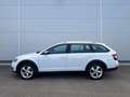 Skoda Octavia Scout 2,0 TDI 4x4 DSG *AHK*GARANTIE*ACC*NAVI*APP* Weiß - thumbnail 3
