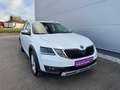 Skoda Octavia Scout 2,0 TDI 4x4 DSG *AHK*GARANTIE*ACC*NAVI*APP* Weiß - thumbnail 14