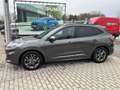 Ford Kuga EcoBlue ST-Line X Gris - thumbnail 2