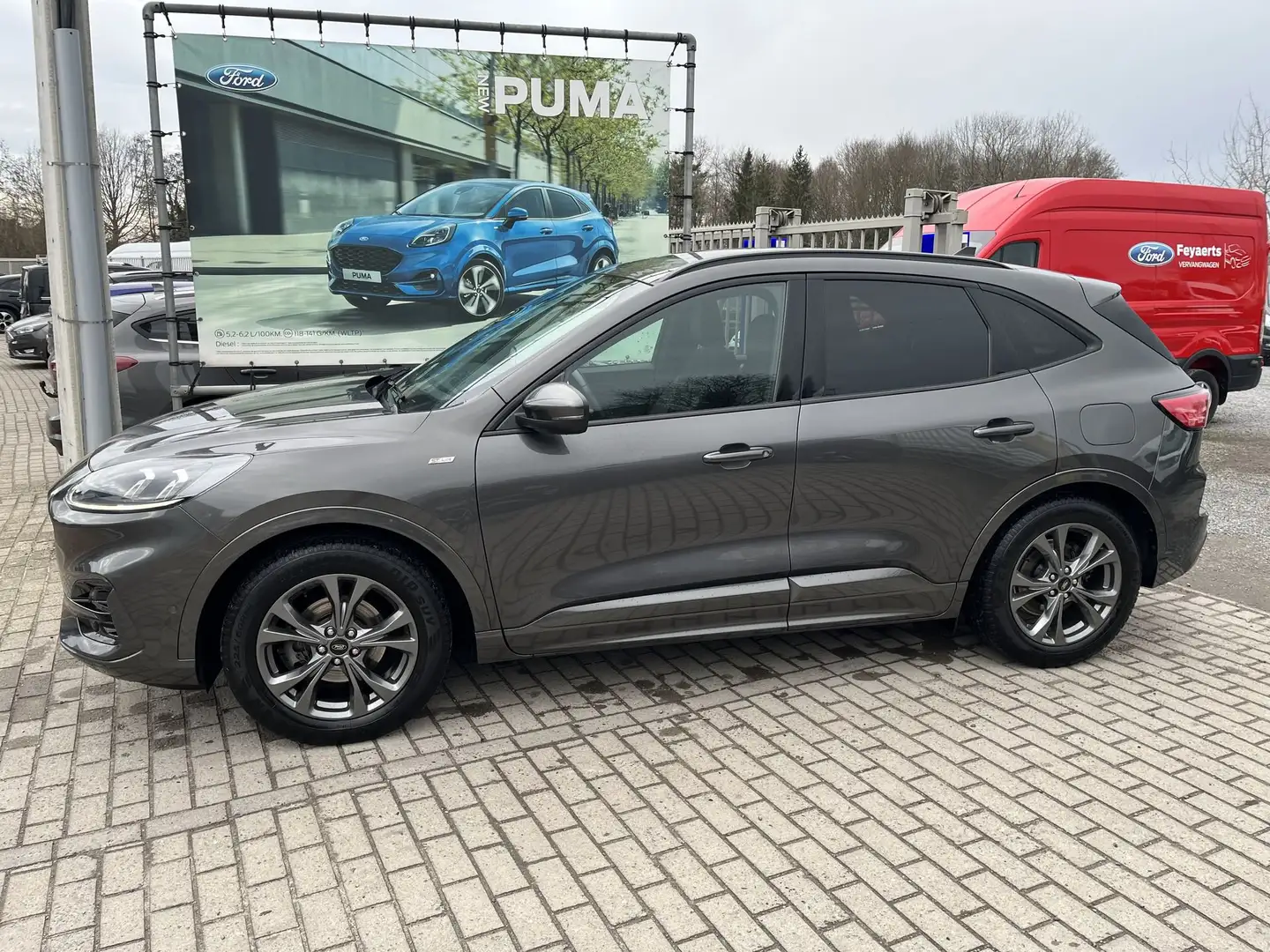 Ford Kuga EcoBlue ST-Line X Gris - 2