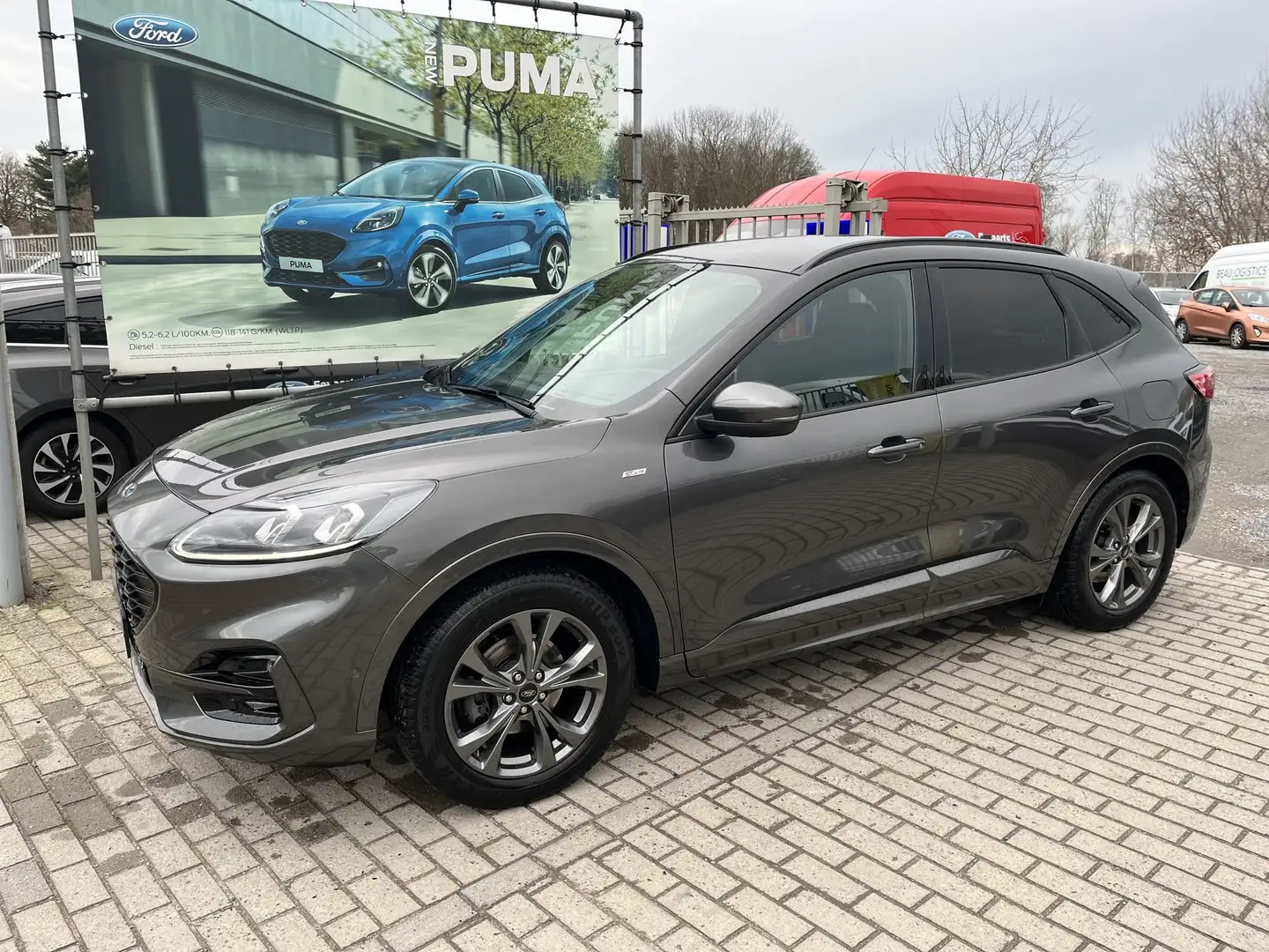 Ford Kuga EcoBlue ST-Line X Gris - 1