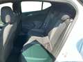 Opel Astra 1.2 Turbo GS-LINE NAV Parkassistent DAB+ Blanco - thumbnail 14