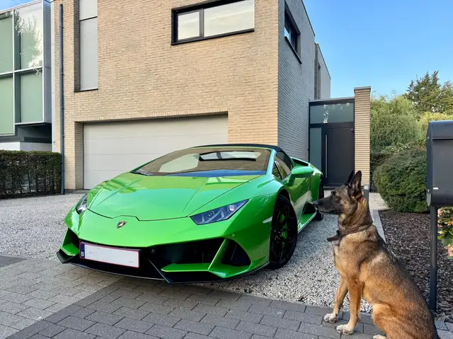 Lamborghini Huracán Spyder V10 640-4 Evo " unique en belgique"