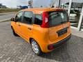Fiat Panda Easy / Radio / Klima / AW Reifen Orange - thumbnail 3