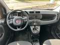 Fiat Panda Easy / Radio / Klima / AW Reifen Orange - thumbnail 7