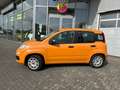 Fiat Panda Easy / Radio / Klima / AW Reifen Orange - thumbnail 2