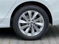 Skoda Superb Selection 2,0 TDI DSG 110KW Navi Weiß - thumbnail 7