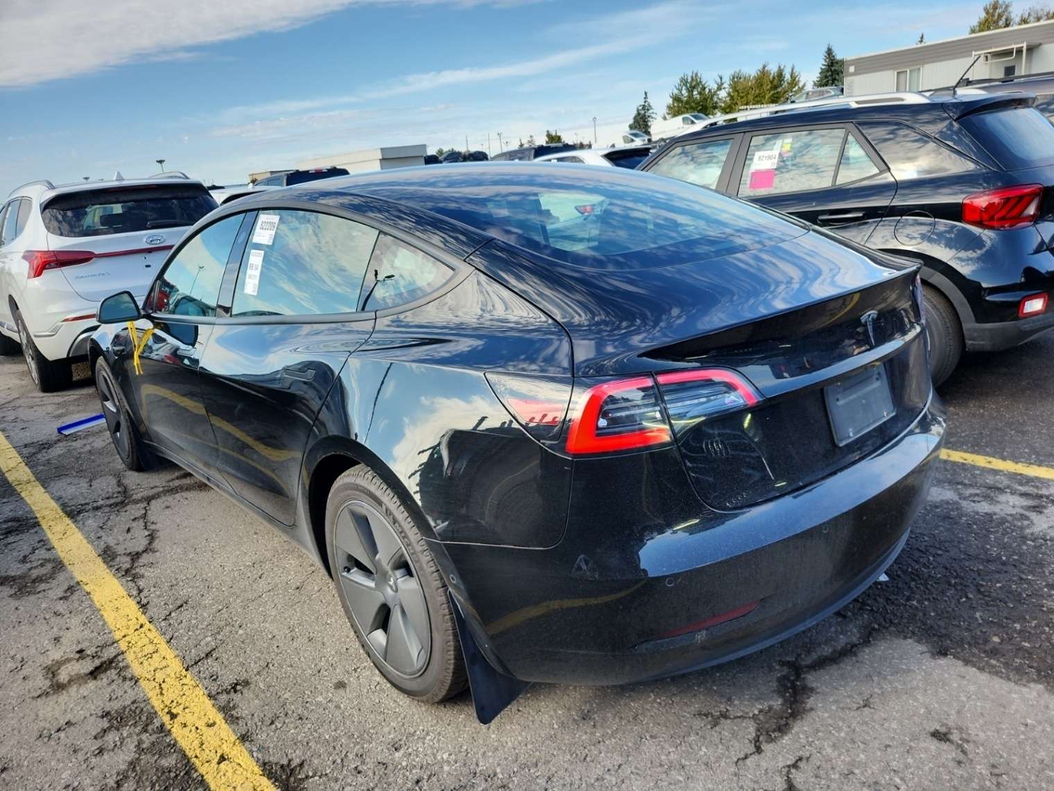 2021 Tesla Model 3 Standard Range Plus RWD alt 3
