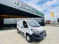 Fiat Ducato PASSO CORTO TETTO BASSO - KM 65.000 - NO OBBLIGO Blanc - thumbnail 1