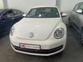 Volkswagen Beetle 2.0TDI 53 Edition Blanco - thumbnail 1