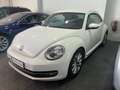 Volkswagen Beetle 2.0TDI 53 Edition Blanco - thumbnail 6