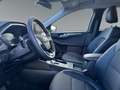Ford Kuga Plug-In Hybrid Titanium X 2.5 Duratec -PHEV EU6d H Rot - thumbnail 10
