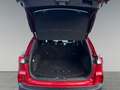 Ford Kuga Plug-In Hybrid Titanium X 2.5 Duratec -PHEV EU6d H Rot - thumbnail 17