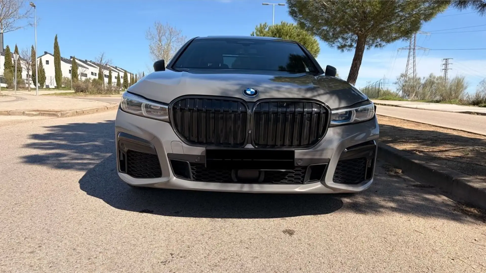 BMW 745 745e Gris - 2